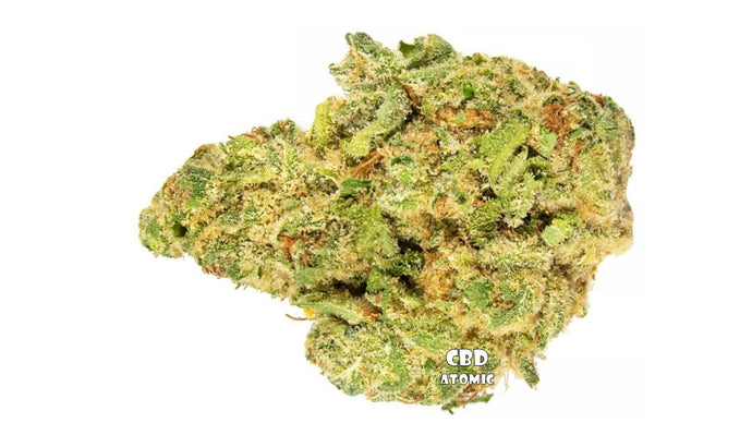 CBD ATOMIC - Cannabis 100% légal (THC<0,2%), CBD Premium, produit 100% naturel.  La Skunk #1 est une des variétés les plus connues. Ses têtes sont compactes, de taille moyenne à grande et d’un vert très clair. Son goût est un savoureux mélange d’arômes musqués et terreux.